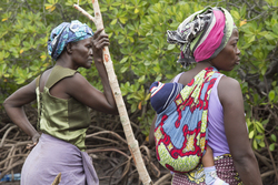 Makongeni, Kenya (10 February 2014).