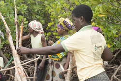 Makongeni, Kenya (10 February 2014).