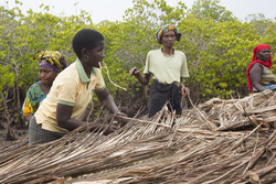 Makongeni, Kenya (10 February 2014).