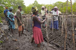 Makongeni, Kenya (10 February 2014).