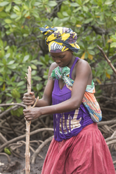 Makongeni, Kenya (10 February 2014).