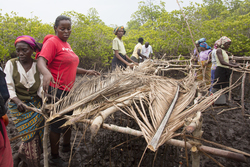 Makongeni, Kenya (10 February 2014).