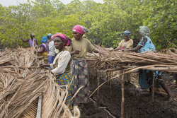 Makongeni, Kenya (10 February 2014).
