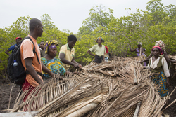 Makongeni, Kenya (10 February 2014).