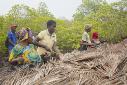 Makongeni, Kenya (10 February 2014).