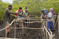 Makongeni, Kenya (10 February 2014).