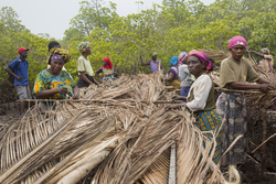 Makongeni, Kenya (10 February 2014).