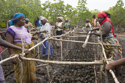 Makongeni, Kenya (10 February 2014).