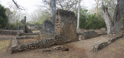11.02.2014 Gedi