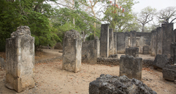 Gedi, Malindi, Kenya (11 February 2014).