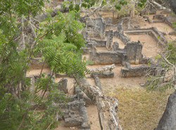 Gedi, Malindi, Kenya (11 February 2014).