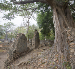 Gedi, Malindi, Kenya (11 February 2014).