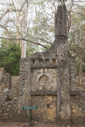Gedi, Malindi, Kenya (11 February 2014).