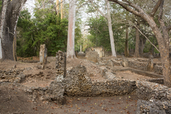Gedi, Malindi, Kenya (11 February 2014).