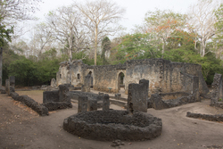Gedi, Malindi, Kenya (11 February 2014).