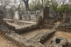 Gedi, Malindi, Kenya (11 February 2014).
