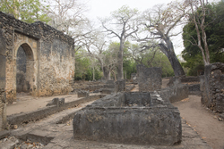 Gedi, Malindi, Kenya (11 February 2014).