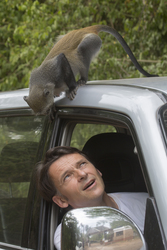Gedi, Malindi, Kenya (11 February 2014).