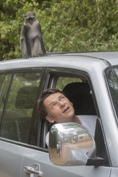 Gedi, Malindi, Kenya (11 February 2014).