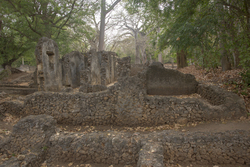 Gedi, Malindi, Kenya (11 February 2014).