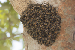 11.02.2014 Mida Creek