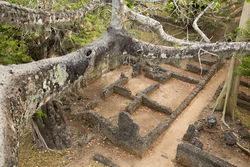 Gedi, Malindi, Kenya (11 February 2014).