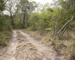 12.02.2014 Arabuko-Sokoke Forest