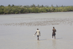 11.02.2014 Mida Creek