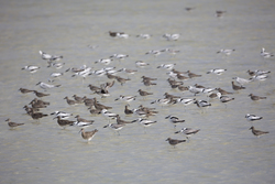 11.02.2014 Mida Creek