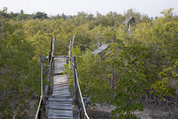 11.02.2014 Mida Creek