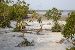 Mida Creek, Kenya (11 February 2014).