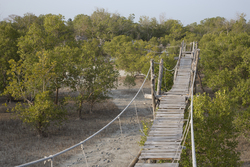 Mida Creek, Kenya (11 February 2014).