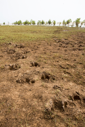 12.02.2014 Sabaki River