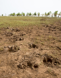 Sabaki River Mouth, Malindi, Kenya (12 February 2014).