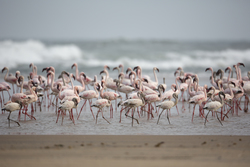 12.02.2014 Sabaki River