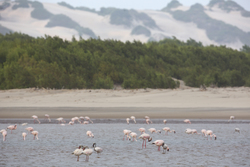 Sabaki River Mouth, Malindi, Kenya (12 February 2014).