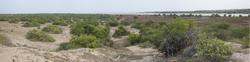 Sabaki River Mouth, Malindi, Kenya (12 February 2014).