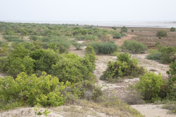 Sabaki River Mouth, Malindi, Kenya (12 February 2014).