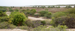 Sabaki River Mouth, Malindi, Kenya (12 February 2014).
