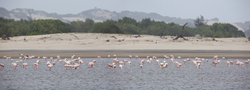 Sabaki River Mouth, Malindi, Kenya (12 February 2014).