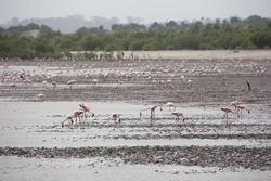 12.02.2014 Sabaki River