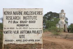 Ng'ombeni, Kenya (13 February 2014).