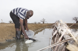 Ng'ombeni, Kenya (13 February 2014).
