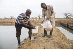 Ng'ombeni, Kenya (13 February 2014).