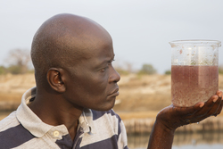 Ng'ombeni, Kenya (13 February 2014).