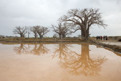 Ng'ombeni, Kenya (13 February 2014).