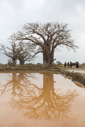 13.02.2014 Ng'ombeni