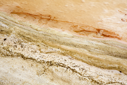 Ng'ombeni, Kenya (13 February 2014).