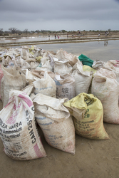 Ng'ombeni, Kenya (13 February 2014).