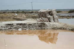 Ng'ombeni, Kenya (13 February 2014).